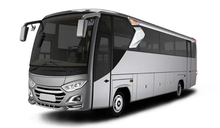bus 29 seat